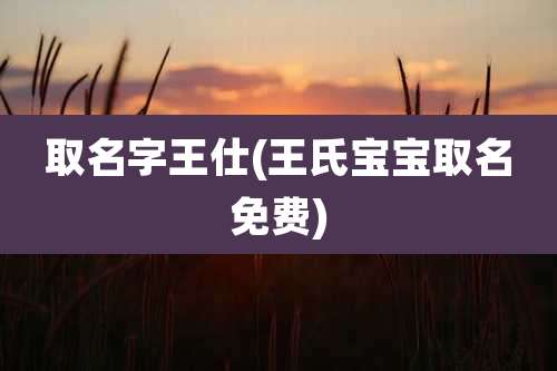 取名字王仕(王氏宝宝取名免费)