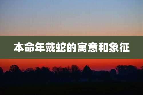 本命年戴蛇的寓意和象征