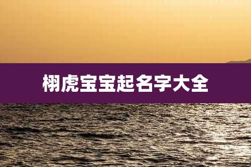 栩虎宝宝起名字大全