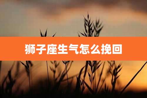 狮子座生气怎么挽回