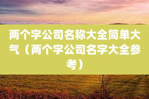 两个字公司名称大全简单大气(两个字公司名字大全参考)