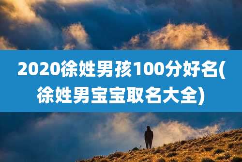2020徐姓男孩100分好名(徐姓男宝宝取名大全)