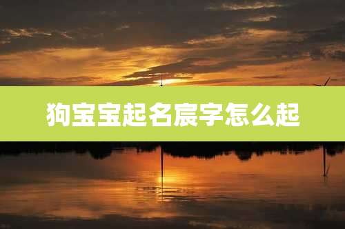 狗宝宝起名宸字怎么起