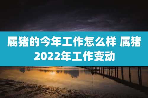 属猪的今年工作怎么样 属猪2022年工作变动