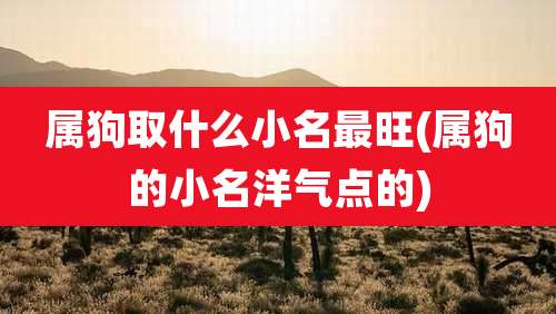 属狗取什么小名最旺(属狗的小名洋气点的)