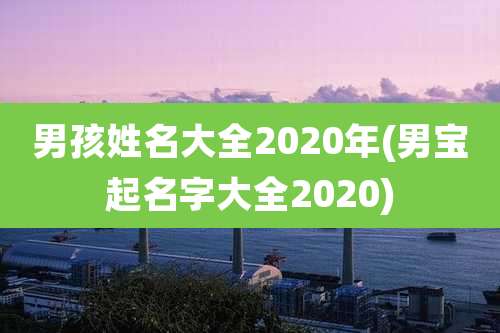 男孩姓名大全2020年(男宝起名字大全2020)