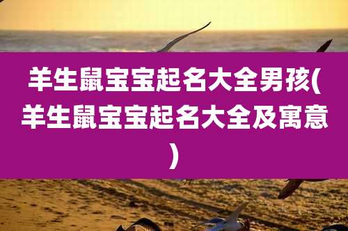 羊生鼠宝宝起名大全男孩(羊生鼠宝宝起名大全及寓意)