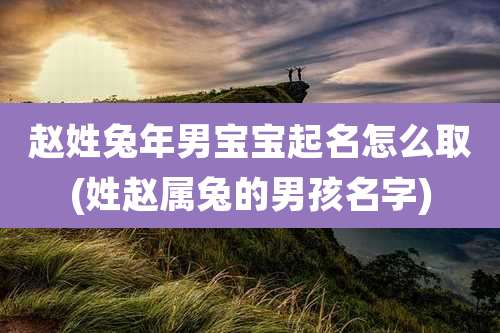 赵姓兔年男宝宝起名怎么取(姓赵属兔的男孩名字)