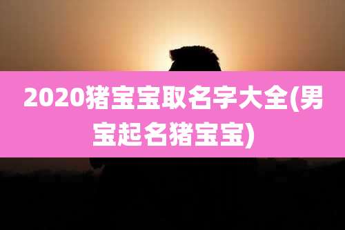 2020猪宝宝取名字大全(男宝起名猪宝宝)