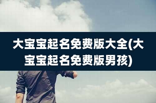 大宝宝起名免费版大全(大宝宝起名免费版男孩)