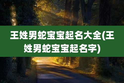 王姓男蛇宝宝起名大全(王姓男蛇宝宝起名字)