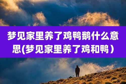 梦见家里养了鸡鸭鹅什么意思(梦见家里养了鸡和鸭）