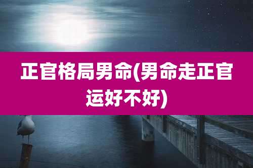 正官格局男命(男命走正官运好不好)