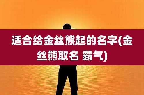 适合给金丝熊起的名字(金丝熊取名 霸气)