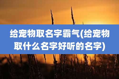 给宠物取名字霸气(给宠物取什么名字好听的名字)