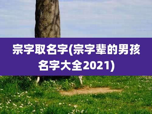 宗字取名字(宗字辈的男孩名字大全2021)