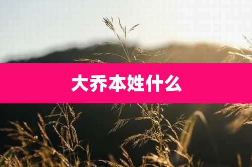 大乔本姓什么