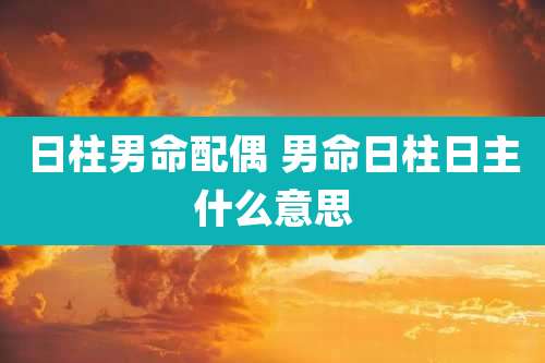 日柱男命配偶 男命日柱日主什么意思