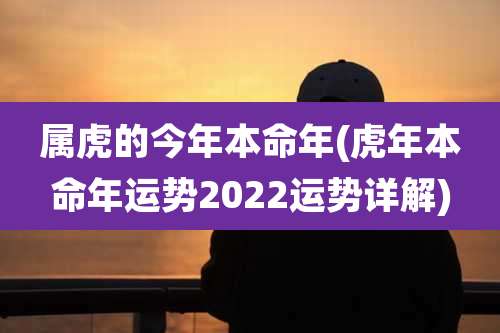属虎的今年本命年(虎年本命年运势2022运势详解)