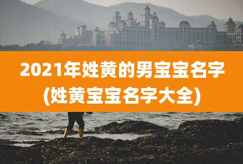2021年姓黄的男宝宝名字(姓黄宝宝名字大全)