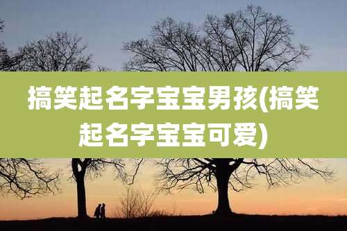 搞笑起名字宝宝男孩(搞笑起名字宝宝可爱)