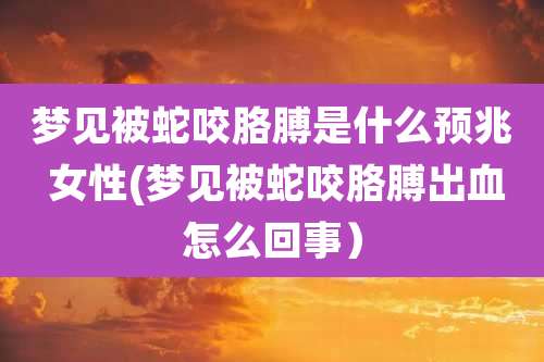 梦见被蛇咬胳膊是什么预兆 女性(梦见被蛇咬胳膊出血怎么回事)