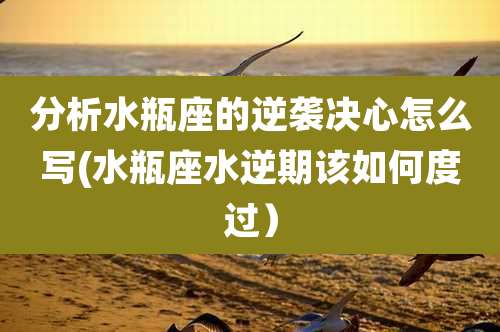 分析水瓶座的逆袭决心怎么写(水瓶座水逆期该如何度过)