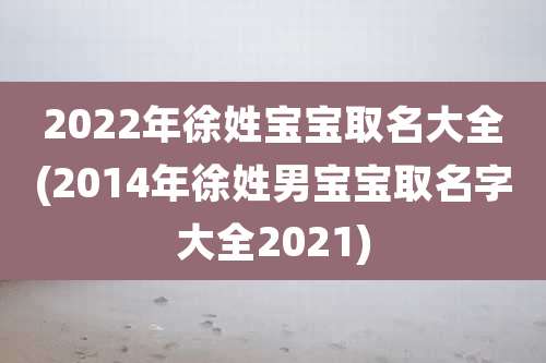 2022年徐姓宝宝取名大全(2014年徐姓男宝宝取名字大全2021)