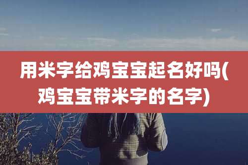 用米字给鸡宝宝起名好吗(鸡宝宝带米字的名字)