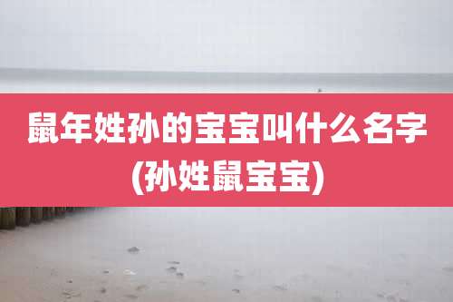 鼠年姓孙的宝宝叫什么名字(孙姓鼠宝宝)