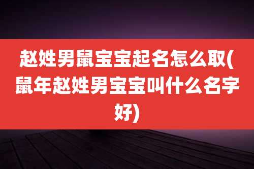 赵姓男鼠宝宝起名怎么取(鼠年赵姓男宝宝叫什么名字好)