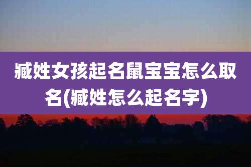 臧姓女孩起名鼠宝宝怎么取名(臧姓怎么起名字)