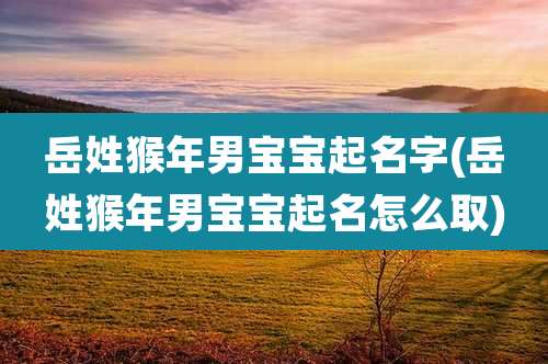 岳姓猴年男宝宝起名字(岳姓猴年男宝宝起名怎么取)