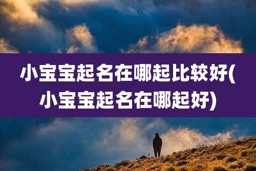 小宝宝起名在哪起比较好(小宝宝起名在哪起好)