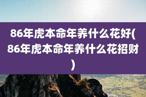 86年虎本命年养什么花好(86年虎本命年养什么花招财)