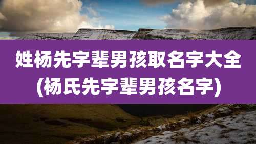 姓杨先字辈男孩取名字大全(杨氏先字辈男孩名字)