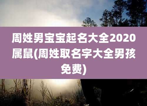 周姓男宝宝起名大全2020属鼠(周姓取名字大全男孩免费)