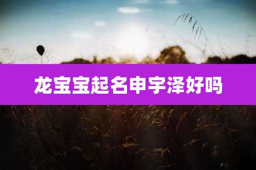 龙宝宝起名申宇泽好吗