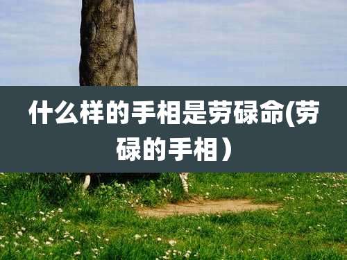 什么样的手相是劳碌命(劳碌的手相)