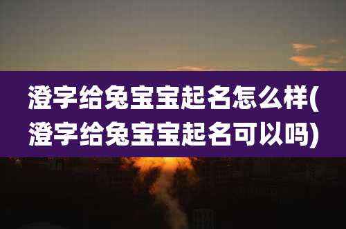 澄字给兔宝宝起名怎么样(澄字给兔宝宝起名可以吗)