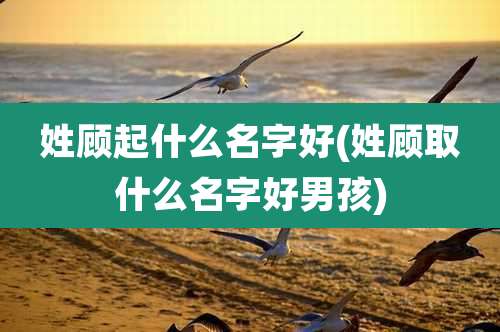 姓顾起什么名字好(姓顾取什么名字好男孩)