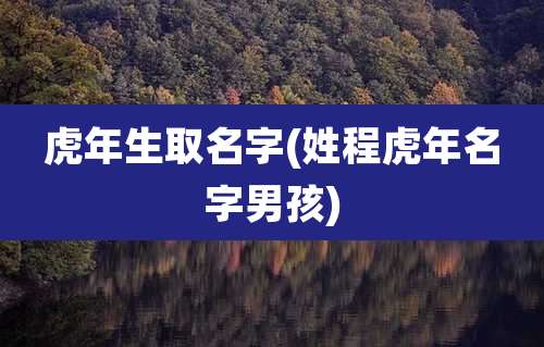 虎年生取名字(姓程虎年名字男孩)