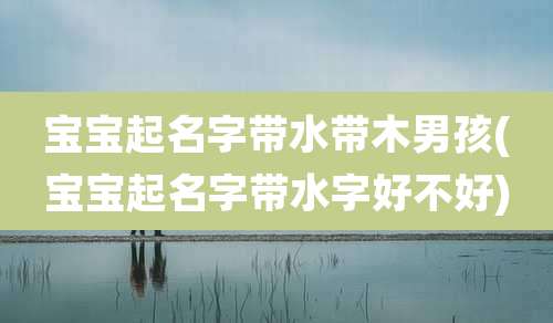 宝宝起名字带水带木男孩(宝宝起名字带水字好不好)