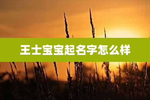 王士宝宝起名字怎么样