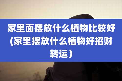家里面摆放什么植物比较好(家里摆放什么植物好招财转运)