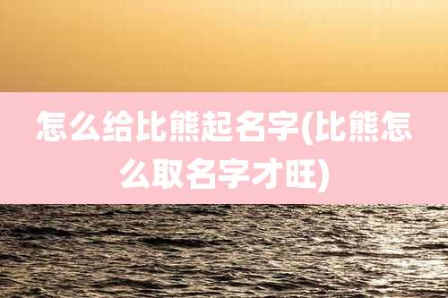 怎么给比熊起名字(比熊怎么取名字才旺)