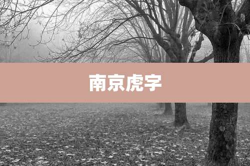 南京虎字