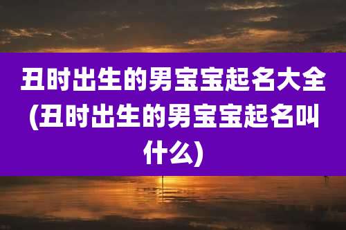 丑时出生的男宝宝起名大全(丑时出生的男宝宝起名叫什么)