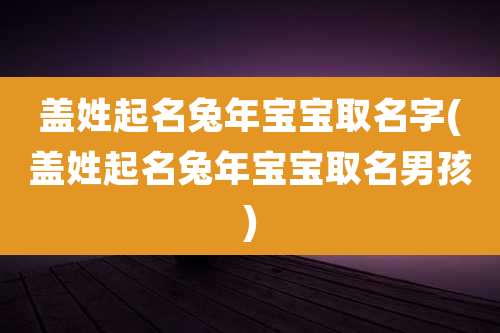 盖姓起名兔年宝宝取名字(盖姓起名兔年宝宝取名男孩)