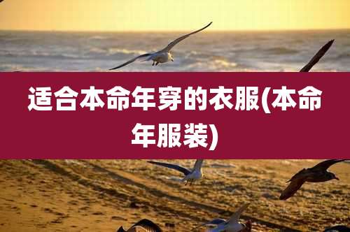 适合本命年穿的衣服(本命年服装)
